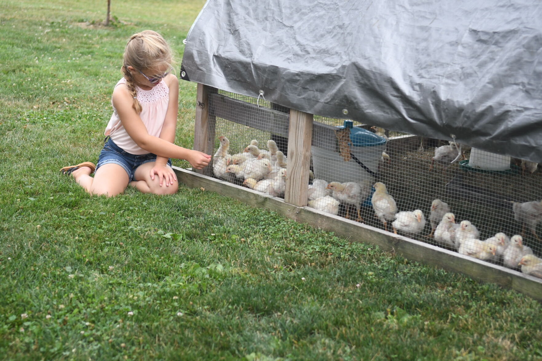 First generation, veteran owned farm hopes to expand, build legacy
